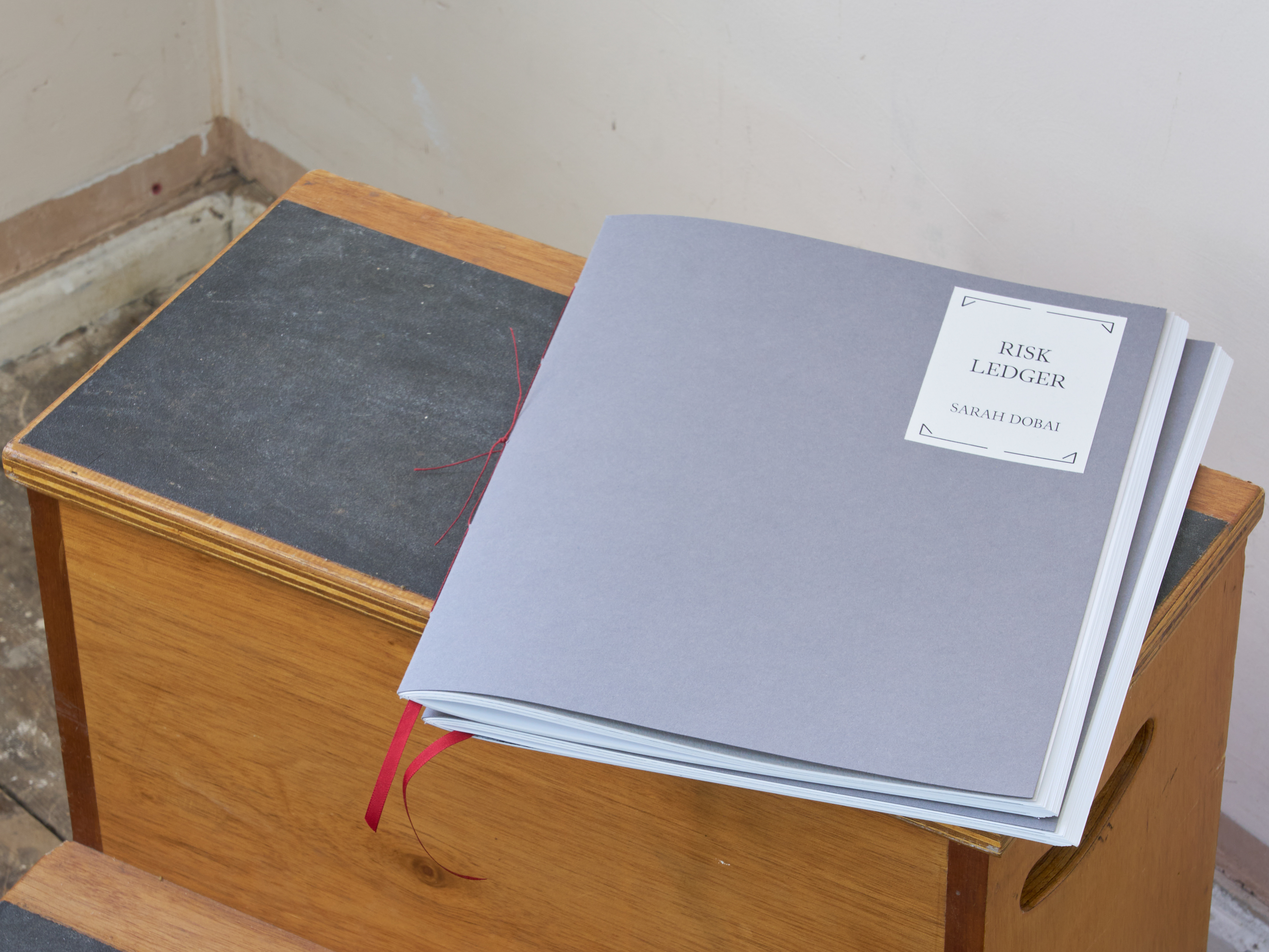 risk-ledger-book2